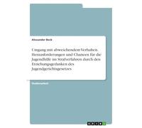 Umgang mit abweichendem Verhalten. Herausforderungen und Chancen für die Jugendhilfe im Strafverfahren durch den Erziehungsgedanken des Jugendgerichtsgesetzes