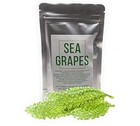 Umibudo Sea Grapes - Deliziosa Alga Verde Caviale - Uva Marina Disidratata In Salamoia (Peso Netto: 50g, Rende 1/2 Libbra Una volta Ammollata)