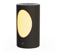 Umidificatore Grana Legno con Ricarica USB e Foro Albero Unico Look Artistico [EEK: A+]