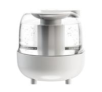 Umidificatore wireless - Funzionamento a batteria, ricaricabile con spegnimento automatico | Spray di grande capacità da 4 l, nebulizzatore di ricarica USB silenzioso, macchina per fredda a