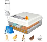 Umisu Incubatrice Uova Automatica 24-36 Uova con Girauova a Rulli Regolabili, Controllo Temperatura, Aggiunta Automatica dell'Acqua e Sperauova Integrato, Bianco