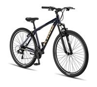 Umit Bicicletta Da Mtb King 29´´ Blue / Gold