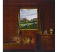 Umphrey's Mcgee - Safety In Numbers