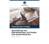 Umstellung von Ölkraftwerken auf Kohle- und Gaskraftwerke: Kraftwerksplanung