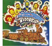 Un Aldo Qualunque Sul Treno Magico (2 Vinile) - Timoria (Vinile)
