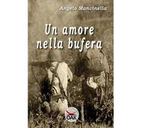 Un amore nella bufera. Ediz. a caratteri grandi