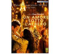 Un Amore Sotto L'Albero