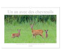 Un an avec des chevreuils (Calendrier mural 2026 DIN A3 vertical), CALVENDO calendrier mensuel: Photos impressionnant des chevreuils dans la nature