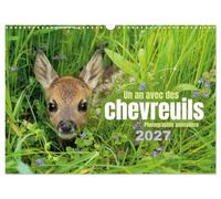 Un an avec des chevreuils (Calendrier mural 2027 DIN A3 vertical), CALVENDO calendrier mensuel: Photos impressionnant des chevreuils dans la nature
