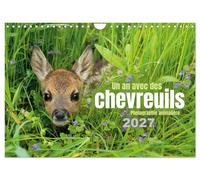 Un an avec des chevreuils (Calendrier mural 2027 DIN A4 vertical), CALVENDO cale