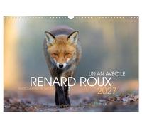 Un an avec le renard roux (Calendrier mural 2027 DIN A3 vertical), CALVENDO calendrier mensuel: Animal sauvage beau et intelligent