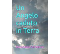 Un Angelo caduto in Terra