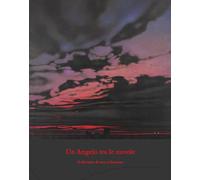 Un Angelo tra le nuvole. Il divenire di una collezione