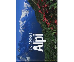 Un anno nelle Alpi. Ediz. illustrata - Asselin Jean-Michel