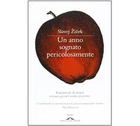 Un anno sognato pericolosamente