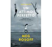 Un attimo perfetto