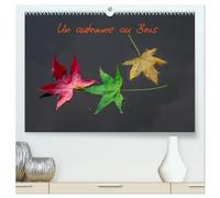Un automne au Bois (Calendrier mural 2026 DIN A2 vertical) calendrier de bureau: Un automne dans le Bois de Boulogne.