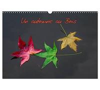 Un automne au Bois (Calendrier mural 2026 DIN A3 vertical), CALVENDO calendrier mensuel: Un automne dans le Bois de Boulogne.