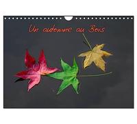 Un automne au Bois (Calendrier mural 2026 DIN A4 vertical), CALVENDO calendrier mensuel: Un automne dans le Bois de Boulogne.