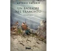 Un bagliore nel tramonto