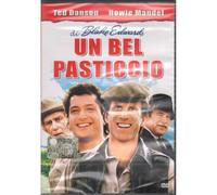 Un Bel Pasticcio DVD, Commedia con Ted Danson e Howie Mandel, Regia di Blake Edwards, Edizione Italiana