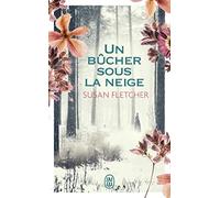 Un bûcher sous la neige