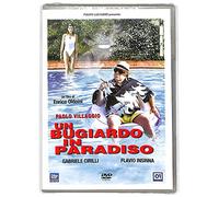 Un Bugiardo In Paradiso