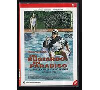 Un Bugiardo in Paradiso – DVD – RTI