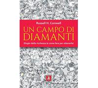 Un campo di diamanti. Elogio della ricchezza (e come fare per ottenerla)
