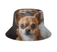 Un cappello alla pescatora marrone per chihuahua, cappelli da sole da donna, cappelli da pescatore, per uomini e donne, cappello da trekking, cappello da spiaggia, cappello da pesca, stile, taglia