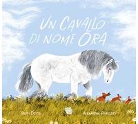 Un cavallo di nome Ora. Ediz. a colori