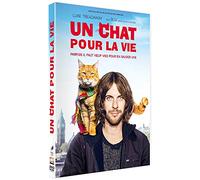 Un chat pour la vie