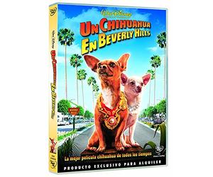 Un Chihuahua en Beverly Hills