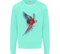 Un Colorato Pappagallo Bambini Felpa Maglioncino