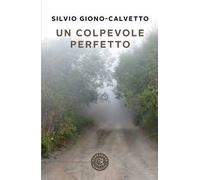 Un colpevole perfetto