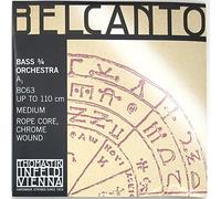 Un Contrabbasso Belcanto a 3/4 di Filo Cromato