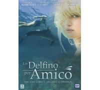 Un delfino per amico