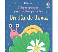 Un día de lluvia