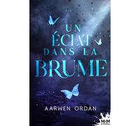 Un éclat dans la brume