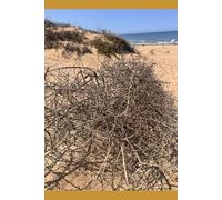 Un Edipo a Villa Psyké: A volte ritornano