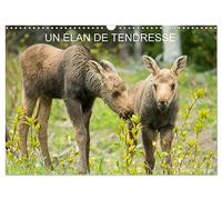 Un élan de tendresse (calendario murale 2026 DIN A3 orizzontale), Calvendo calendrier mensuel