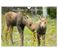 Un élan de tendresse (calendario murale 2026 DIN A4 orizzontale), Calvendo calendrier mensuel