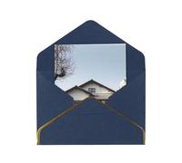 Un elegante biglietto d'auguri della Casa Bianca, biglietto pieghevole in carta perlata di alta qualità con bordo dorato, interno vuoto per messaggio personale, perfetto per Natale, compleanno