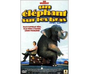 Un éléphant sur les bras