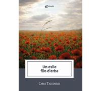 Un esile filo d'erba