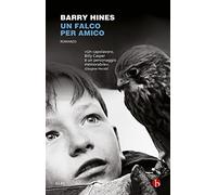 Un falco per amico