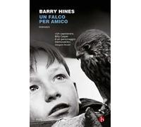 Un falco per amico