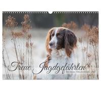 Un fedele compagno di caccia: il piccolo Monsterländer (calendario da parete 2027 DIN A3 verticale), CALVENDO calendario mensile