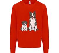 Un Felpa Jumper Uomo Border Collie E Cucciolo