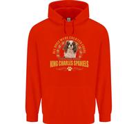 Un Felpa Per Bambini Con Cavalier King Charles Spaniel